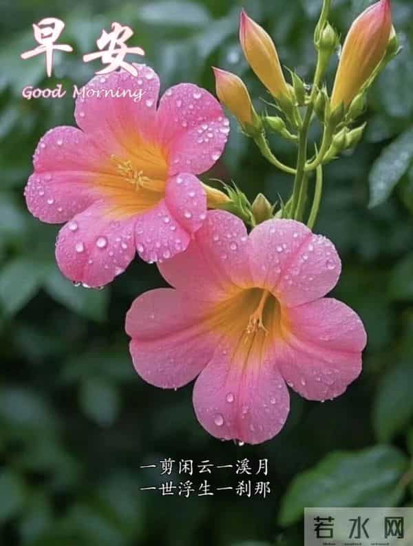 早安,愿今日所得,皆为心之所向