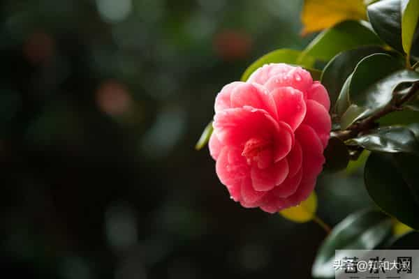 一个女人，最通透的活法：4个字