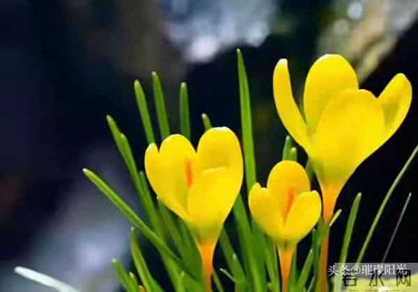 从明天起,请准备好接收你的好运!