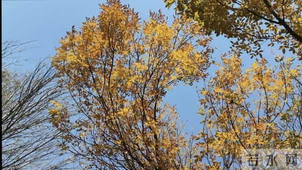 人到中年不翻山越岭,只守眼前风景。