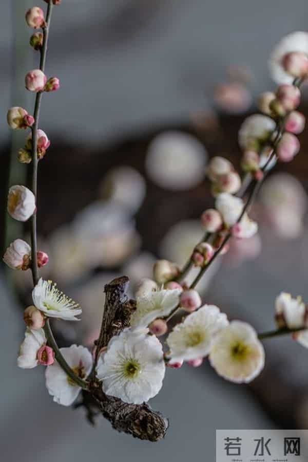 女人想要“越界”，会这样对你