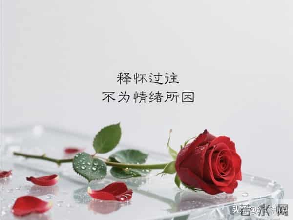 繁华满地，流年如诗不如你。