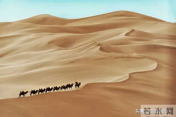 过了50岁,夫妻之间最大的隐痛,其实很少有人敢说出口