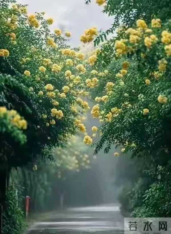 异性之间,频繁有这两种“互动”,就算没说爱,也早已动心