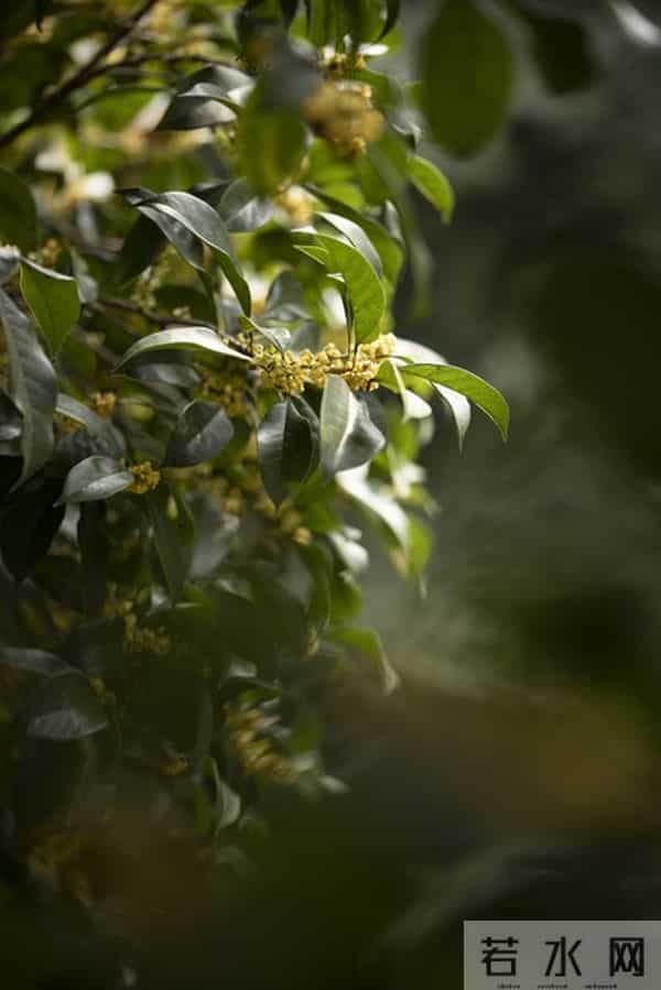 女人被吃定后，明显的变化：主动