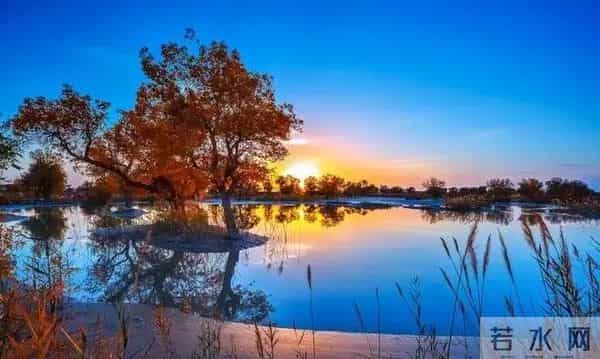 一个男人爱不爱自己的老婆,本质上跟女人没有关系,而是这点