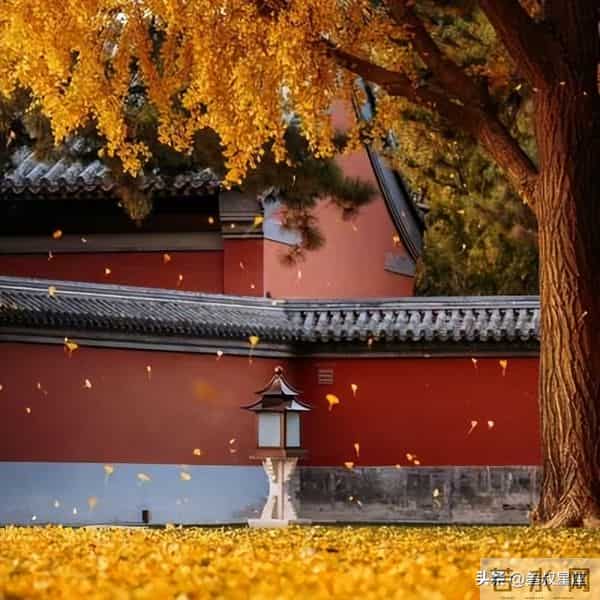 天蝎座，下周做好这1件事，能扫清前3个月的阻碍！