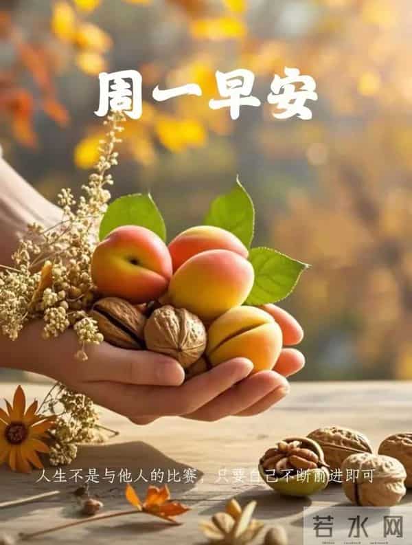11月24日早安祝福：相约美好，不负时光，保重身体
