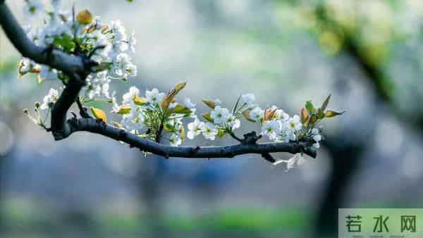 前夫退休跟我分居一年，回来跟我说：离婚吧，她已经有了我的孩子