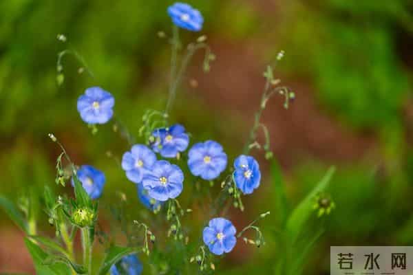 爱你，宛如初见，想你，梦绕魂牵
