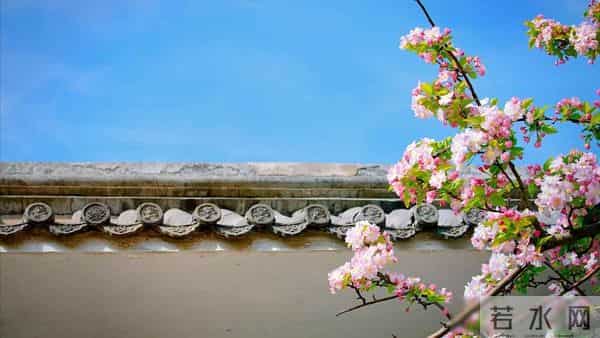 父亲过世老伴不跟我回家,10年后婆婆生病我也不管,老伴却提离婚