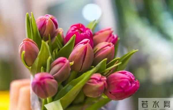 “人来害你，一看便知”：想害你的人，一般有这5个征兆。