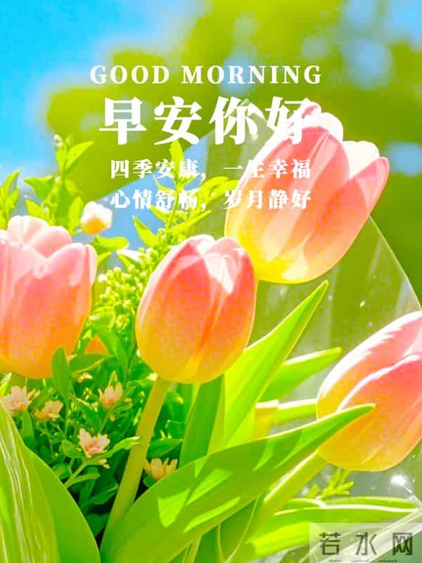 25句周一暖心早安祝福，晨光沐心，情谊如暖，愿你事事圆满乐无忧