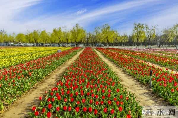 越是成熟的男人，越容易爱上“中年女人”：原因只有一个，很准