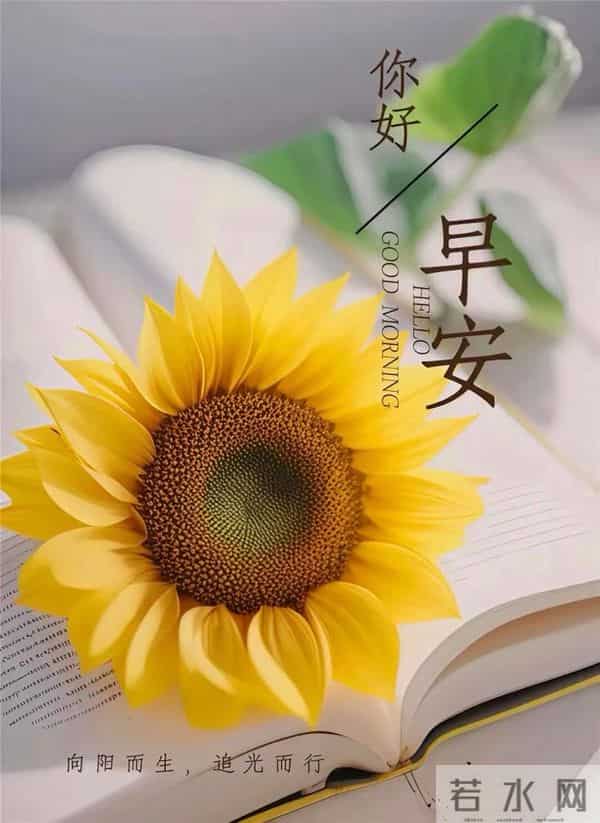 早安心语 时光不会偏爱谁,但会善待用心生活的人