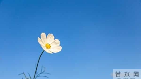 人到中年才懂,无论男女,有过一次不忠,余生只剩两条路