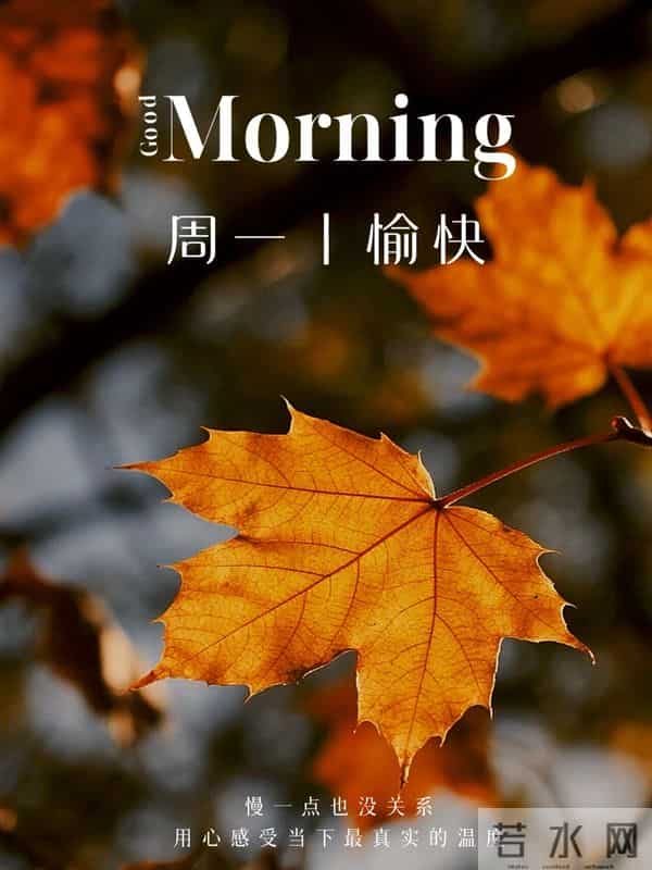 25句周一暖心早安祝福，晨光沐心，情谊如暖，愿你事事圆满乐无忧