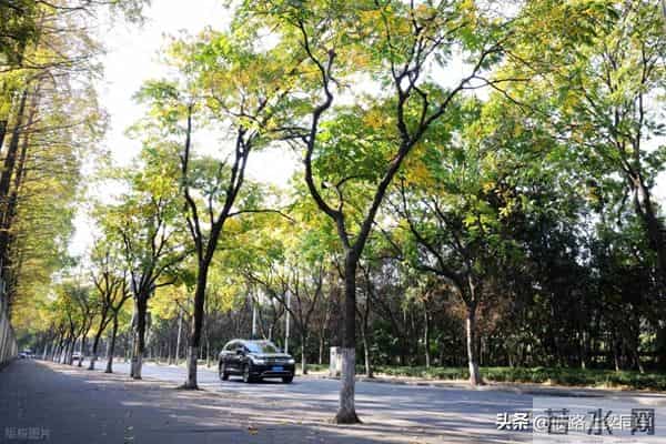 如果您欠几十万就崩溃?听完这段话您会马上清醒!