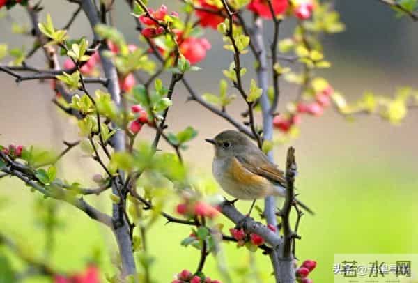 请接受这运程，你的孩子越来越顺