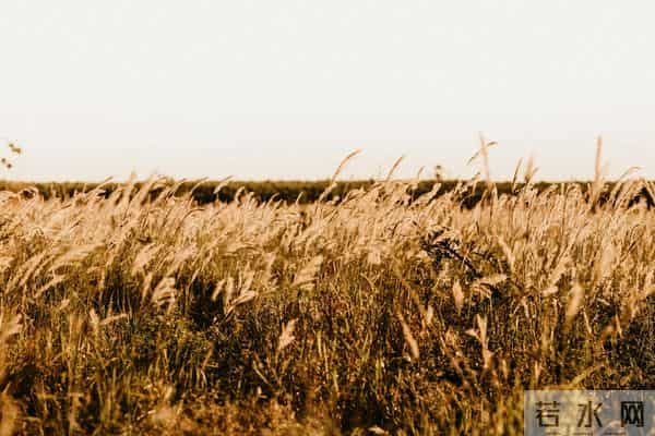 女人过了五十五，宁可独睡，也别对丈夫做这两件事，一做就散场