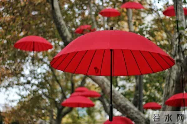 让女人死心塌地的关键：掌握“二八定律”