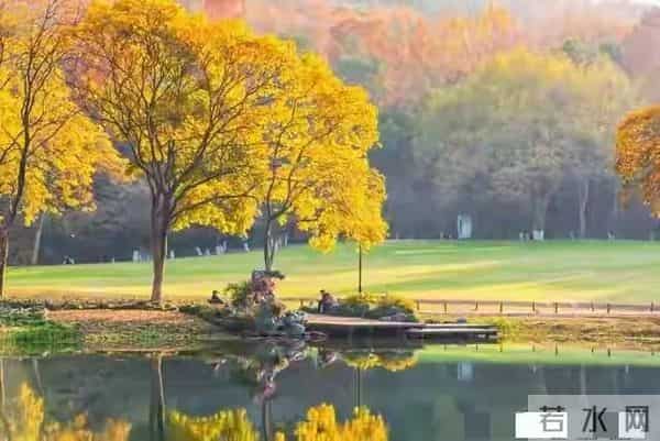 晚来有福的人,60岁后常显这5个状态,占一个就值得开心