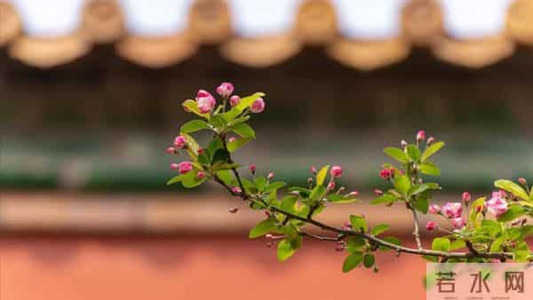 父亲过世老伴不跟我回家,10年后婆婆生病我也不管,老伴却提离婚