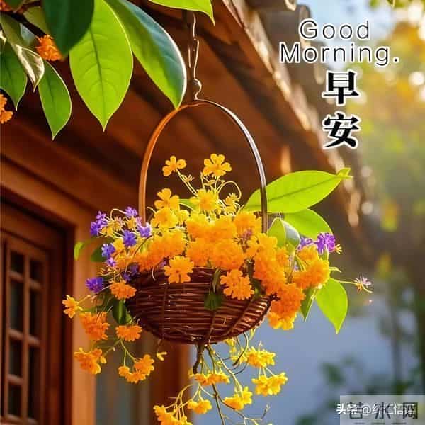 早安!愿这清晨的第一声问候,像一杯温热的牛奶,温暖你的心田