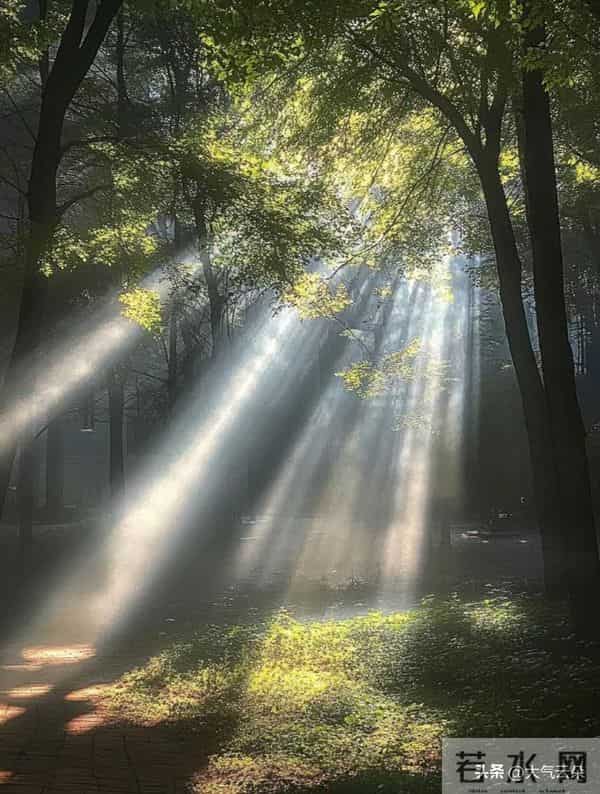 散文：一段相逢醉了流年，一段相知暖了岁月，一段相守度了余生