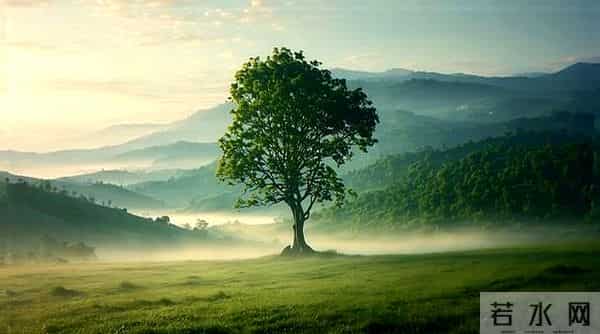 50岁后,不管男女,都不要做的8件事,一件没做,妥妥人生赢家