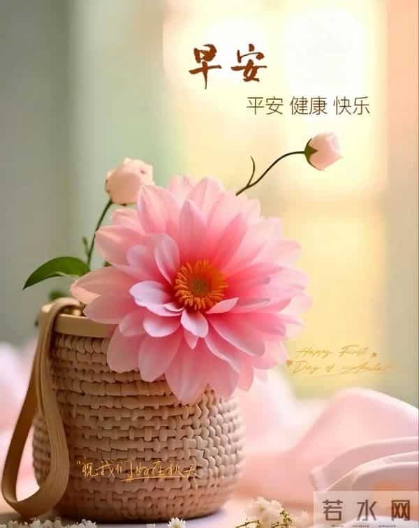 11月24日早上好 早上好图片最新今天 早安问候图片 早安暖心的句子