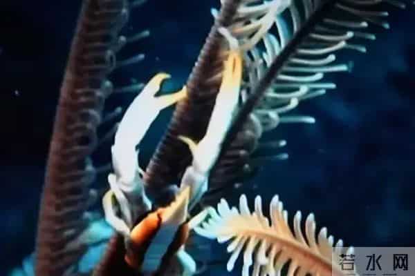 两性关系：为什么女人过了70岁还要找男人？70岁女人的大实话