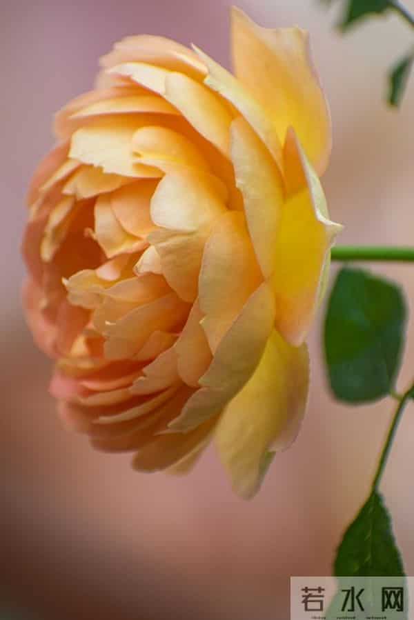 老人注意:这五句话,宁愿烂在肚子里也别对儿媳女婿说