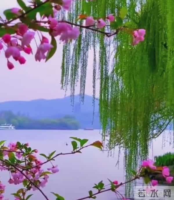 情感:女人真正爱你入骨的,才愿意对你暴露这两个隐私