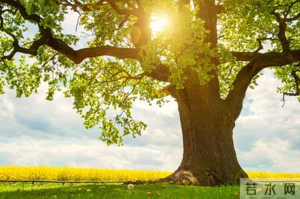 认知越高的人,越明白:人生,是一场因果的修行