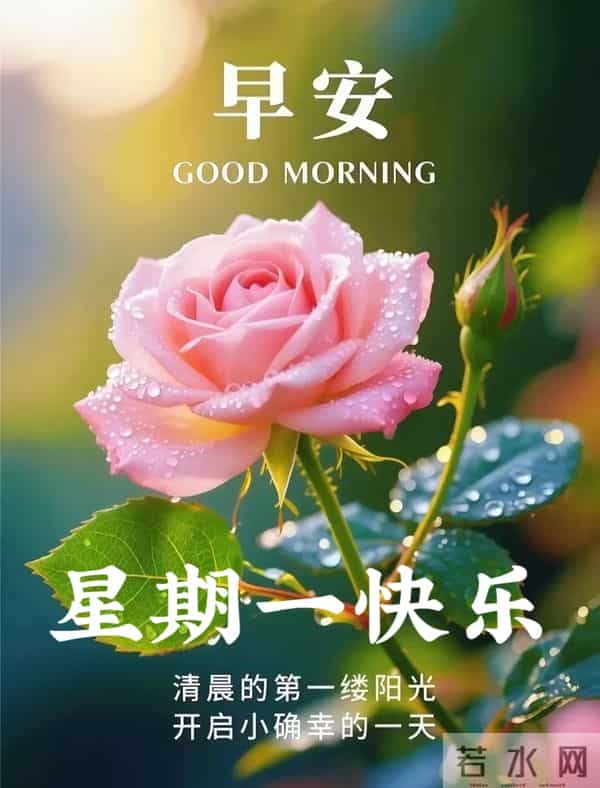 2025年11月24日周一早上好温馨问候语 早安图片 早安祝福精美图片