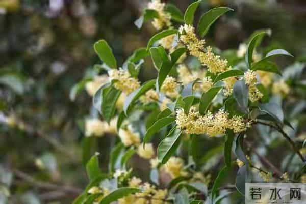 别不信，你的好日子要扎堆来啦，快准备接招！