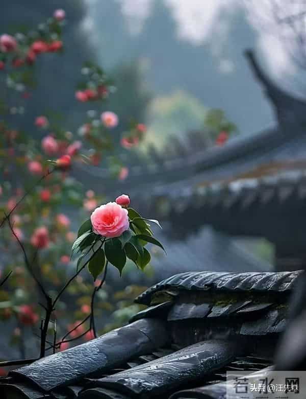 活出自己,是余生最清醒的成全