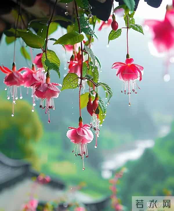 明天的你越来越好，越来越顺，赶紧签收属于你的好运