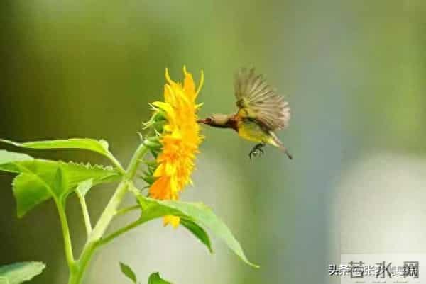 两性关系:63岁的我搭伙三次才知道,女人过了60岁找老伴太难了