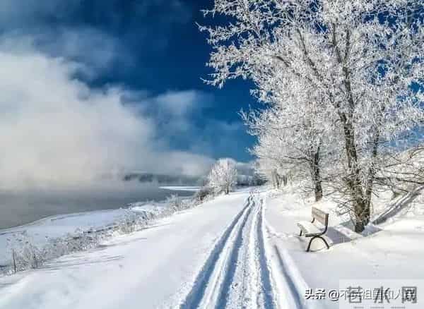散文：我期盼着在冬天下雪的时候与你相遇