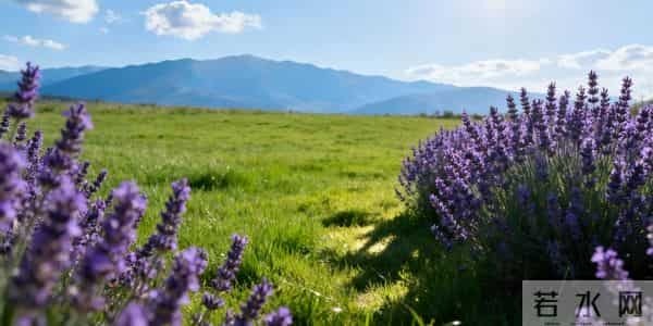 到了这个岁数，就会越活越明白：人生所有的关系，不过是相识一场