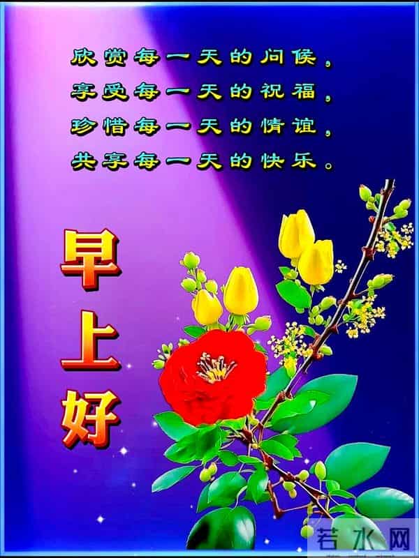 11月24日-最新漂亮早安祝福图片，早安祝福语精选