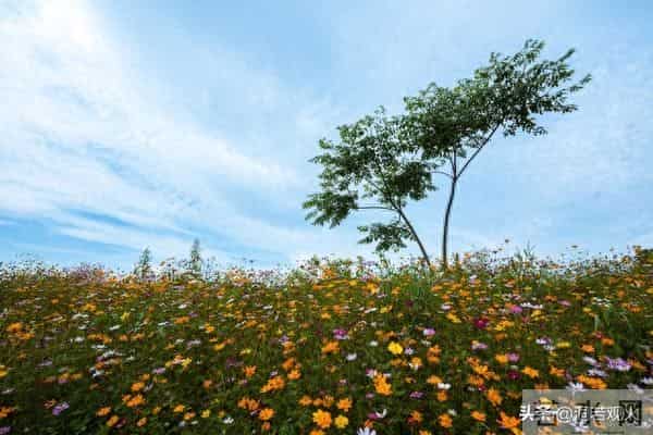 两性关系：55-65岁这十年，惜命的方式，不是锻炼，是做好这6点