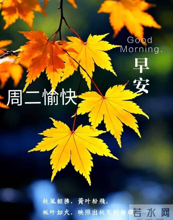 2025年11月25日早上好 早上好温馨问候祝福语 早安精美图片 周二愉快