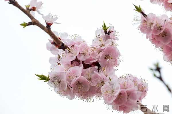 不管你信不信,女性过63岁后,基本都有如下6个现状!要坦然接受