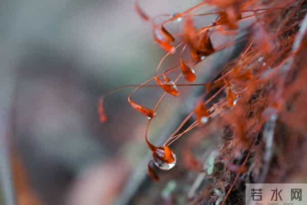 遇见你,邂逅爱,情深成痴,痴念成瘾