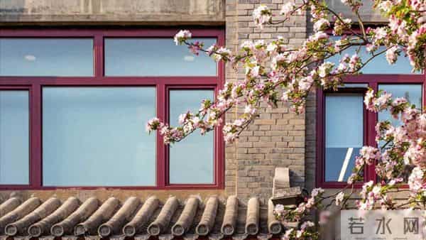 父亲过世老伴不跟我回家,10年后婆婆生病我也不管,老伴却提离婚