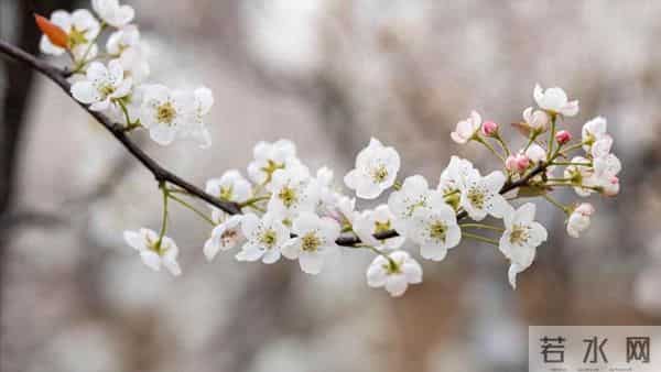 前夫退休跟我分居一年，回来跟我说：离婚吧，她已经有了我的孩子