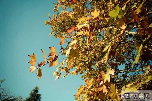 所有情人关系,都会走向2个结局